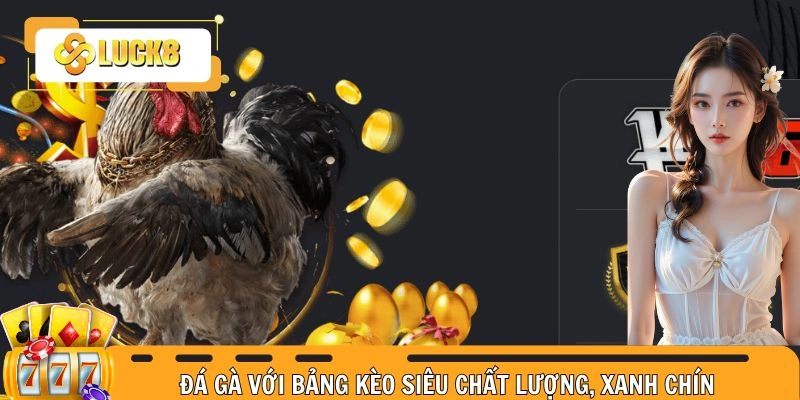 Đá gà LUCK8 với bảng kèo siêu chất lượng, xanh chín